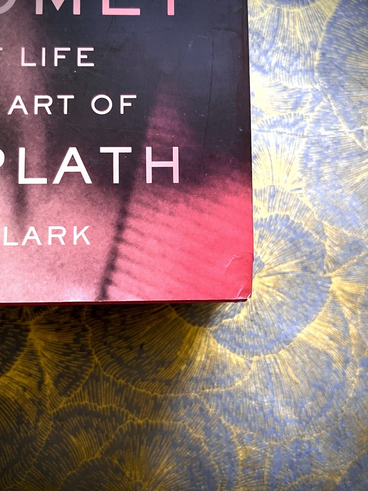 RED COMET: THE SHORT LIFE AND BLAZING ART of SYLVIA PLATH Heather Clark HC VG+