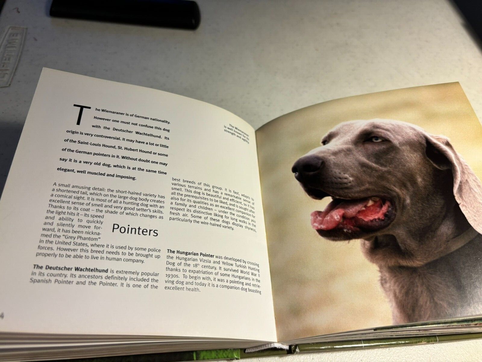 Dogs 1001 Photos (Cubebooks) Book 464 illustrated pages New