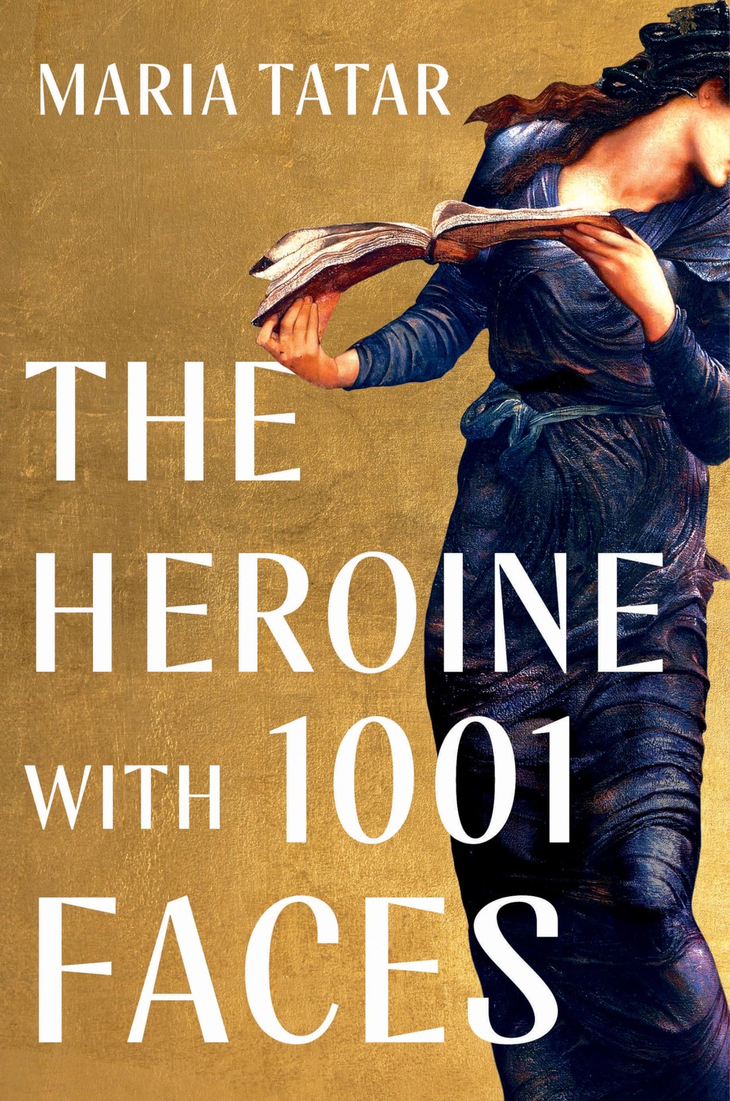 The Heroine with 1001 Faces, Tatar, Maria, Very Good Book