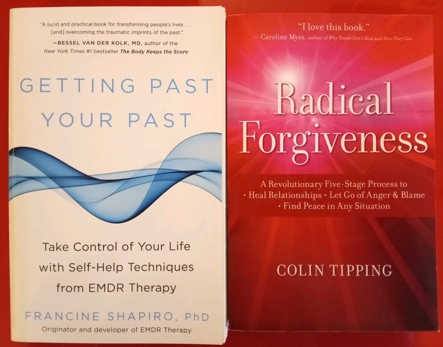 Getting Past Your Past & Radical Forgiveness. 2‑Vol. Healing & Transformation