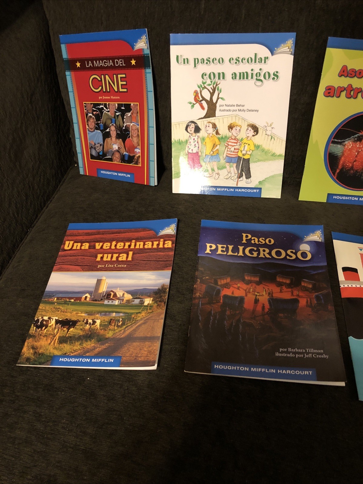 SPANISH Childrens Leveled Book LEVELS For Grade 1 and Grade 4 – Libros para Nino