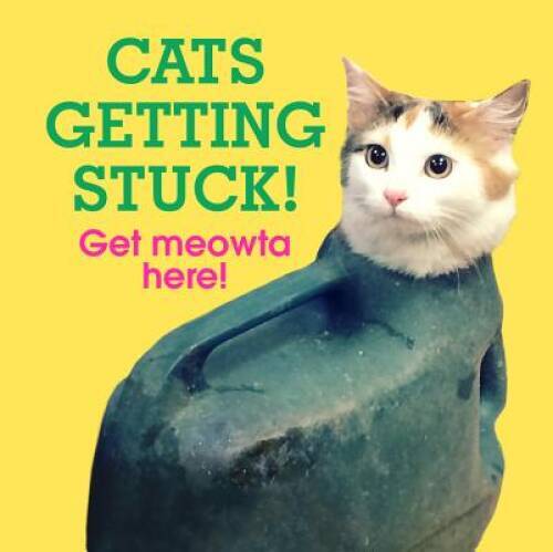 Cats Getting Stuck! – Hardcover By Ebury Press – GOOD