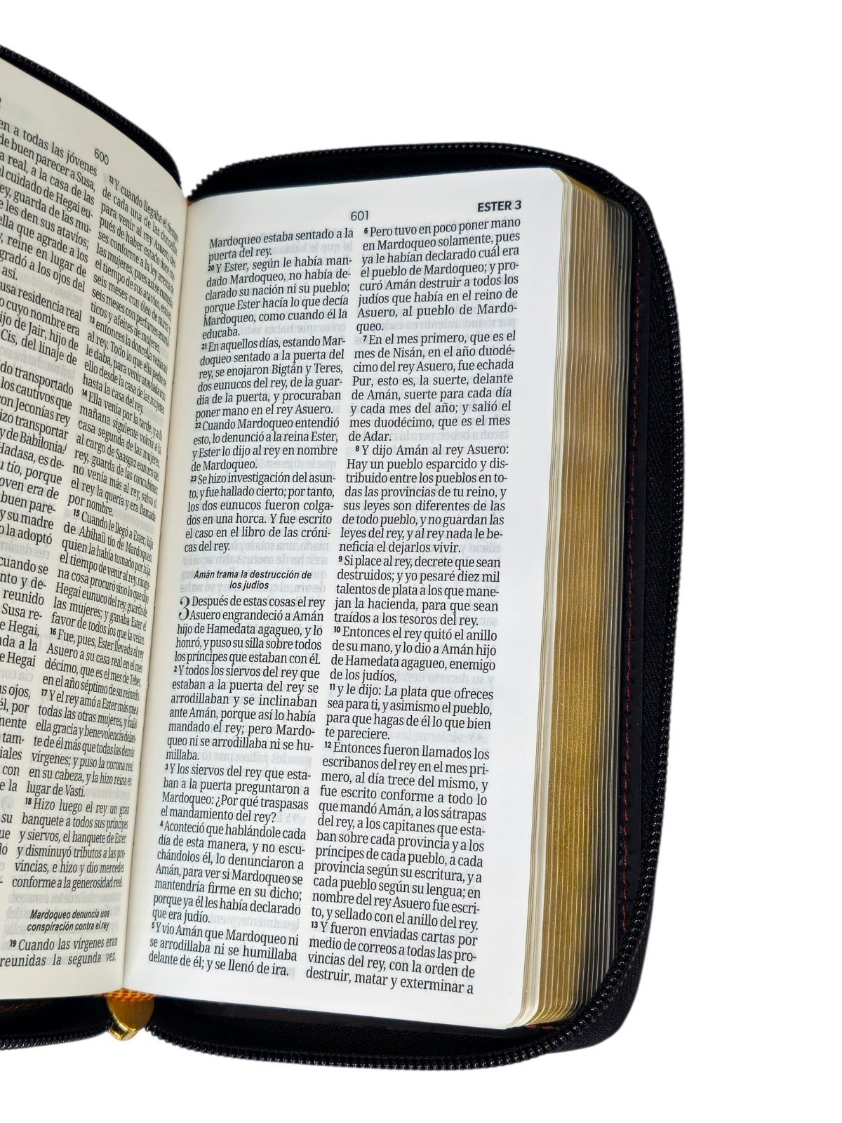Biblia Chequera Letra 8.5 puntos RV1960 imit piel coral y gris claro
