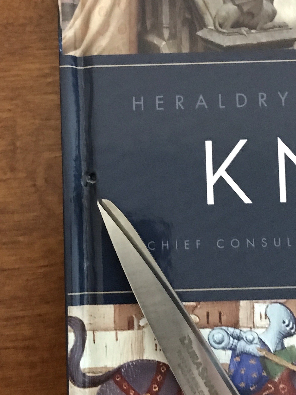 Knights • Heraldry Chivalry Combat Book Medieval Colorful Art 11” x 8.5” READ