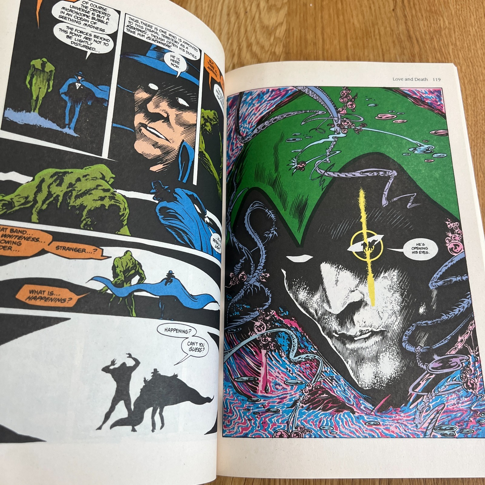 Swamp Thing: Love and Death: 2 : Alan Moore DC Comics Vertigo Paperback