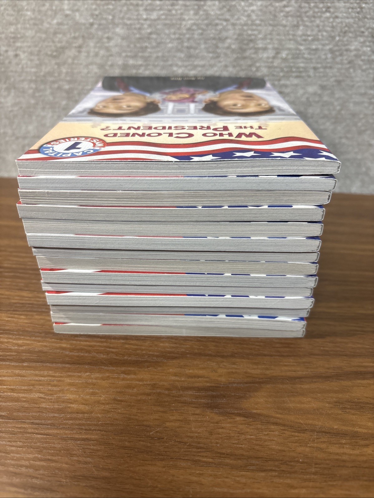 CAPITAL MYSTERIES Ron Roy Chapter Books Complete Series Lot 1-14 Bundle Kids