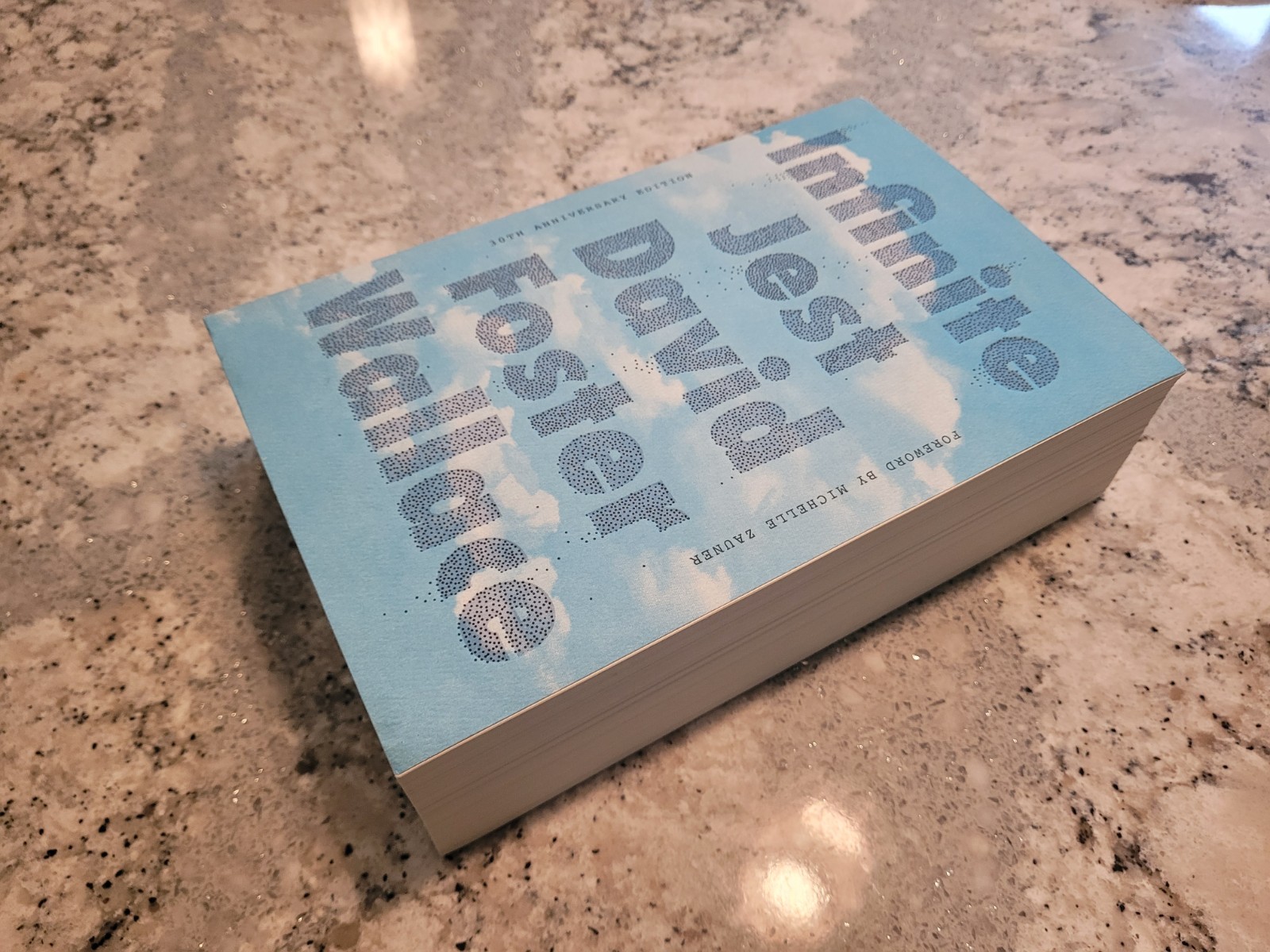Infinite Jest 30th Anniversary Edition 9780316602921 by David Foster Wallace
