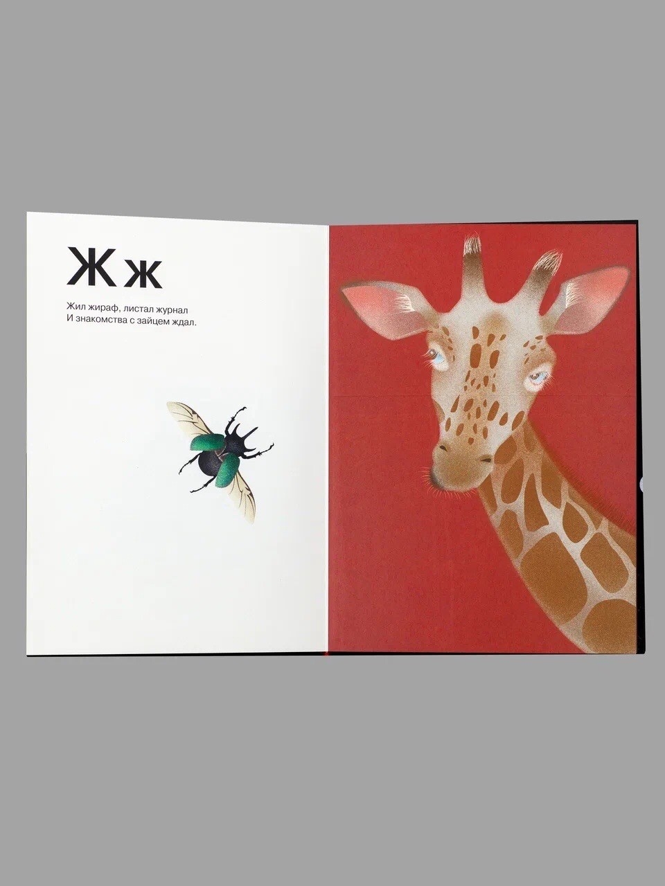 Russian alphabet book