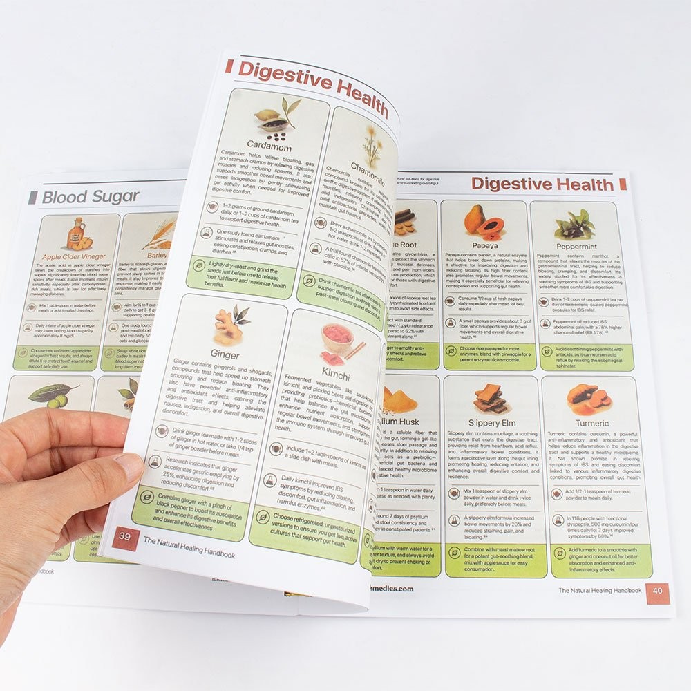 The Natural Healing Handbook, Spiral-Bound Guide for Herbal Remedies and Natural
