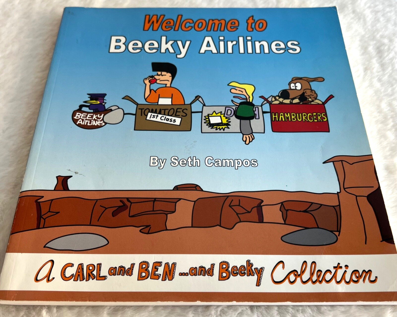 Welcome to Beeky Airlines SIGNED INSCRIBED 1st Edition Softcover Seth Campos