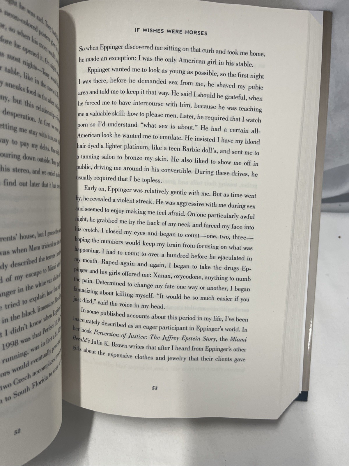 Nobody’s Girl : A Memoir of Surviving Abuse and Fighting for Justice by Virginia