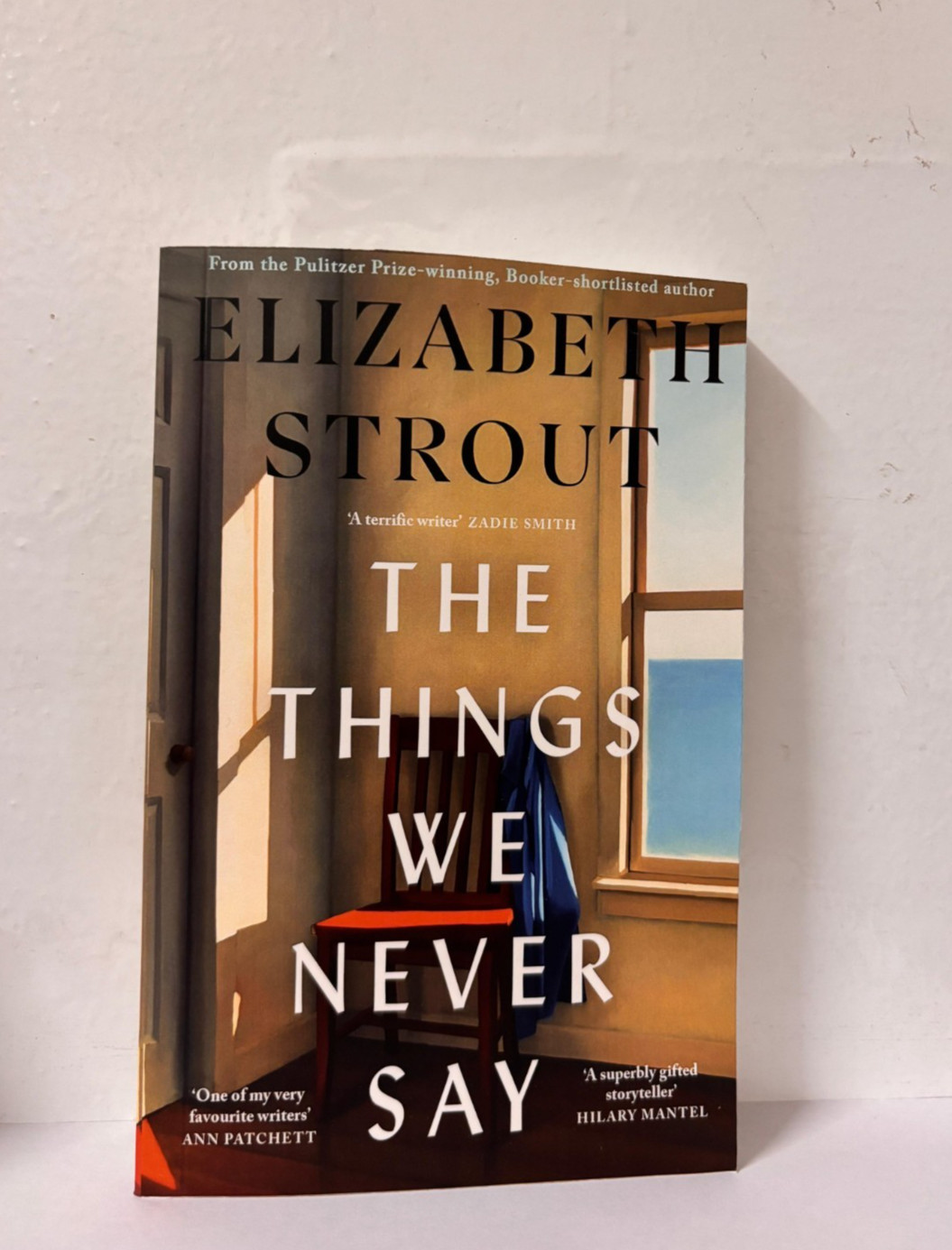 The Things We Never Say by Elizabeth Strout Paperback New Book usa stock