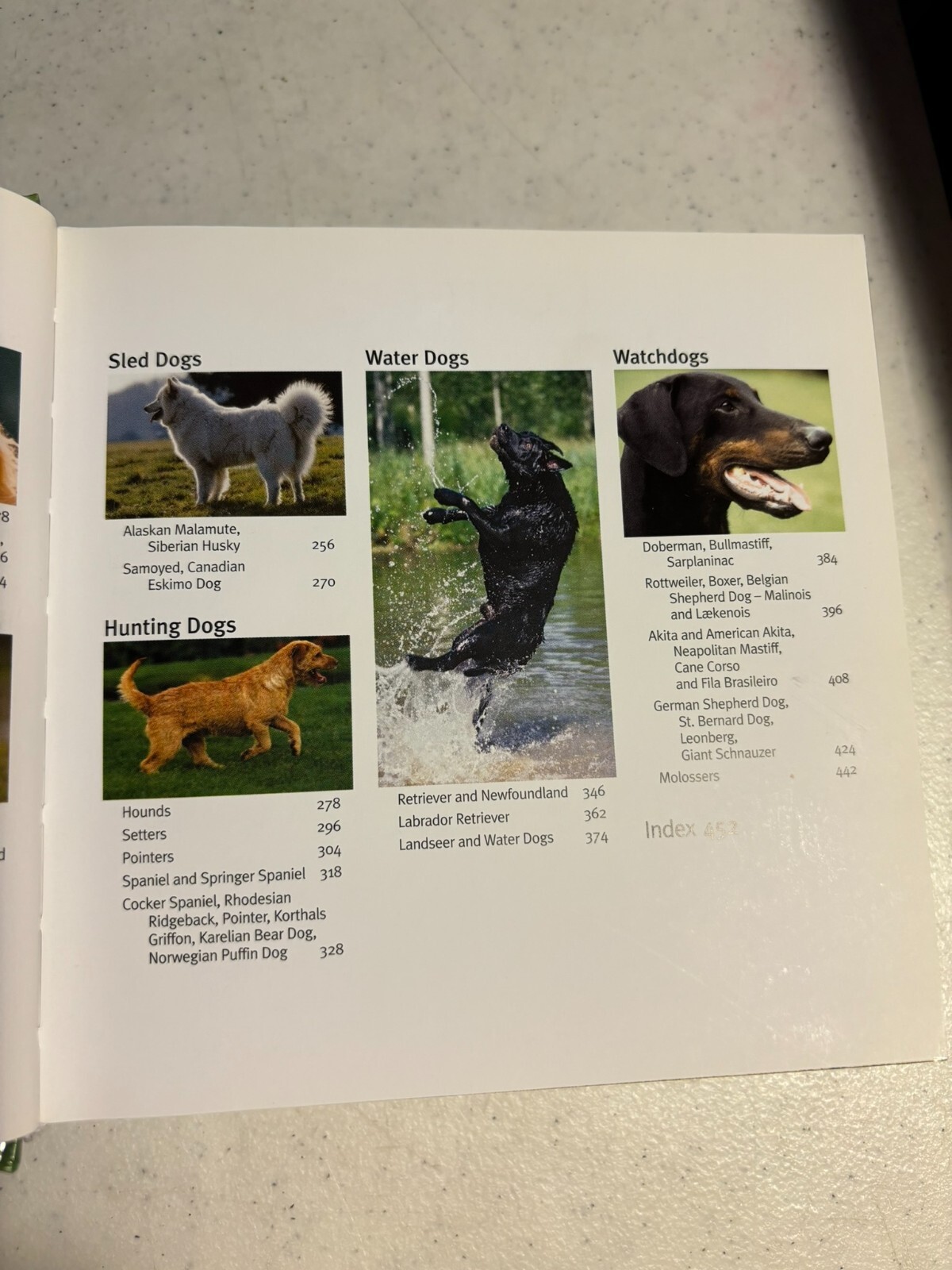 Dogs 1001 Photos (Cubebooks) Book 464 illustrated pages New