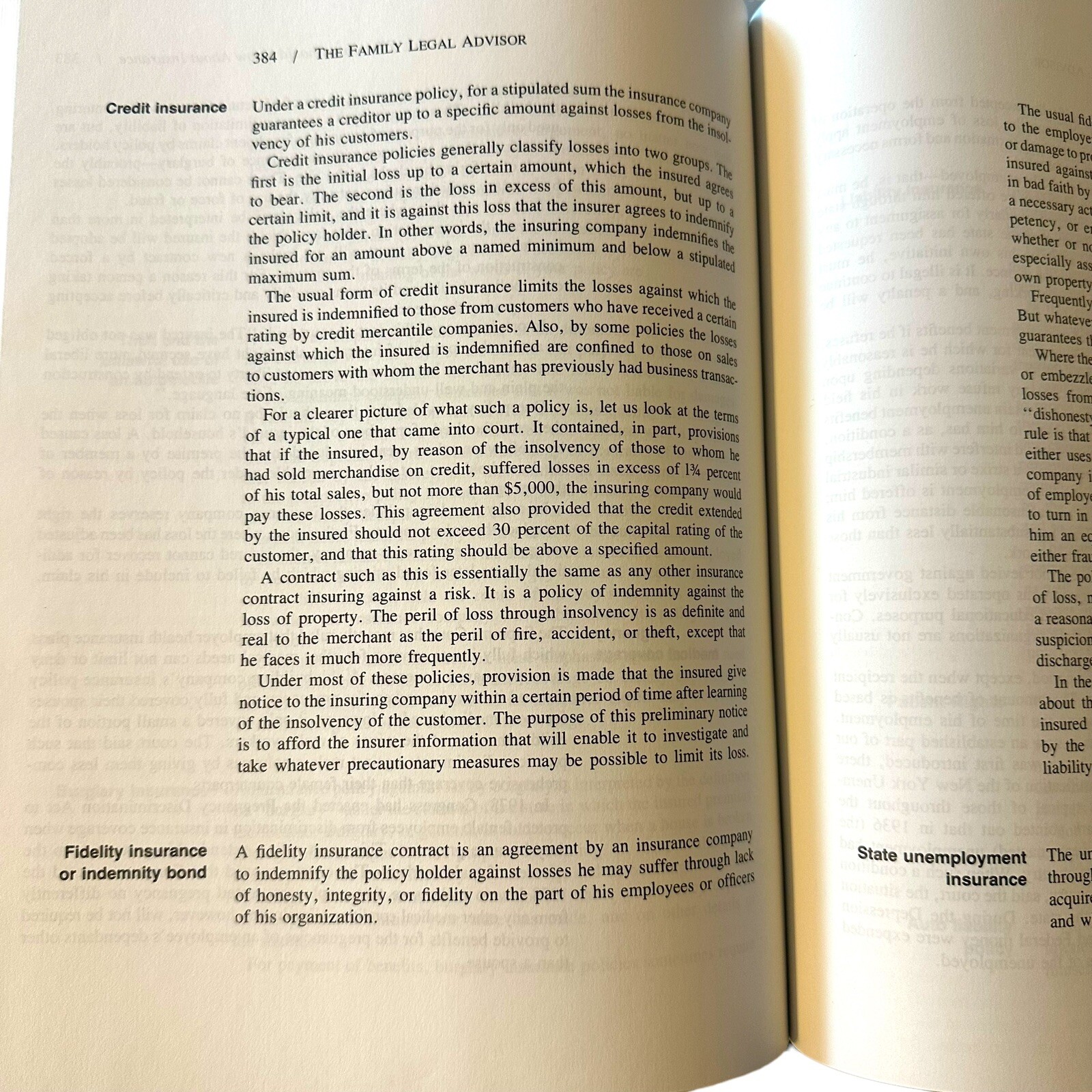 The Family Laval Advisor: A Clear, Reliable Guide To Your Rights Under The Law