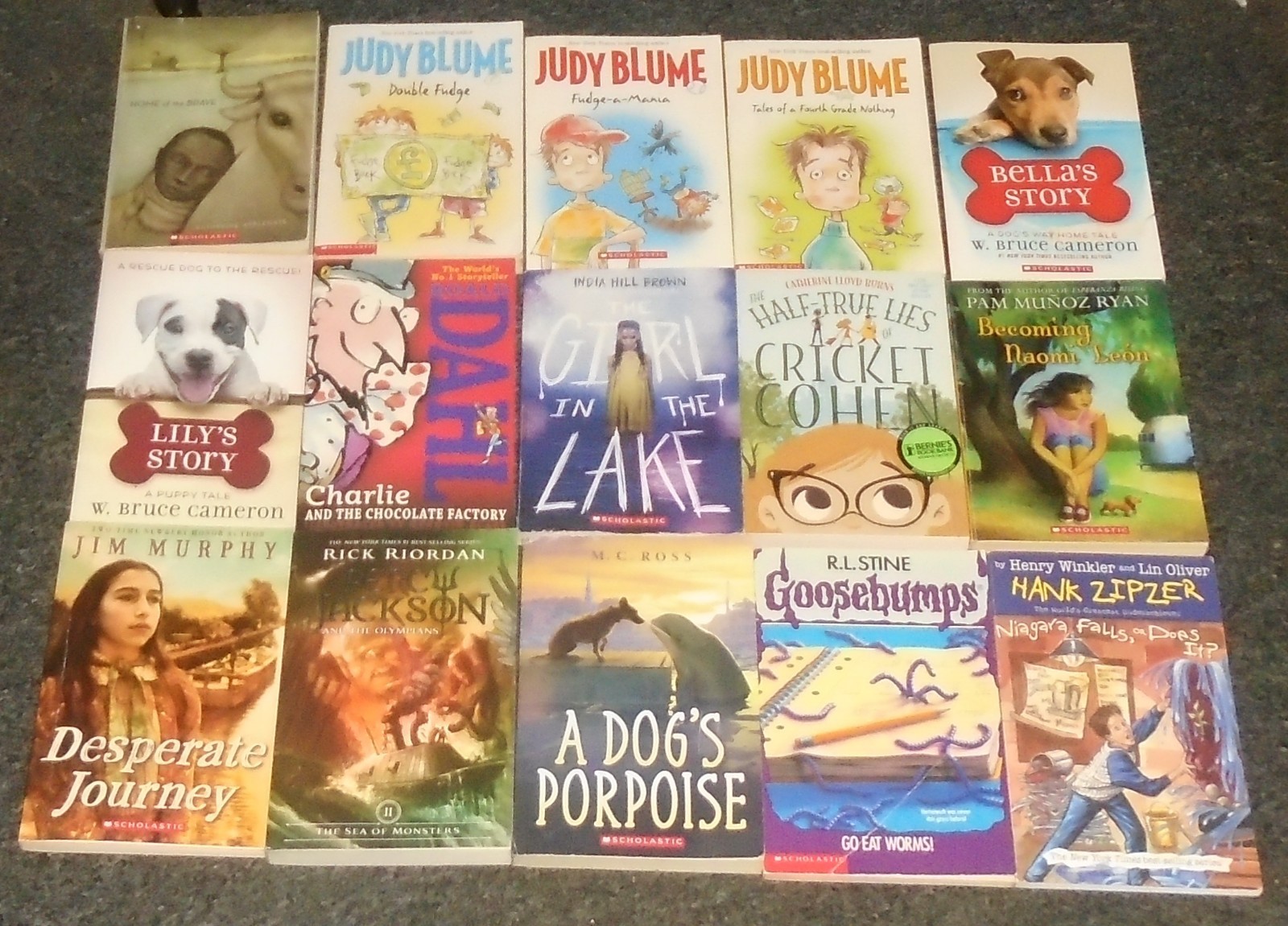 25 Children’s Books LOT 1 ages 8-12 4th-8th Grades Middle Grades MG Accelerated+
