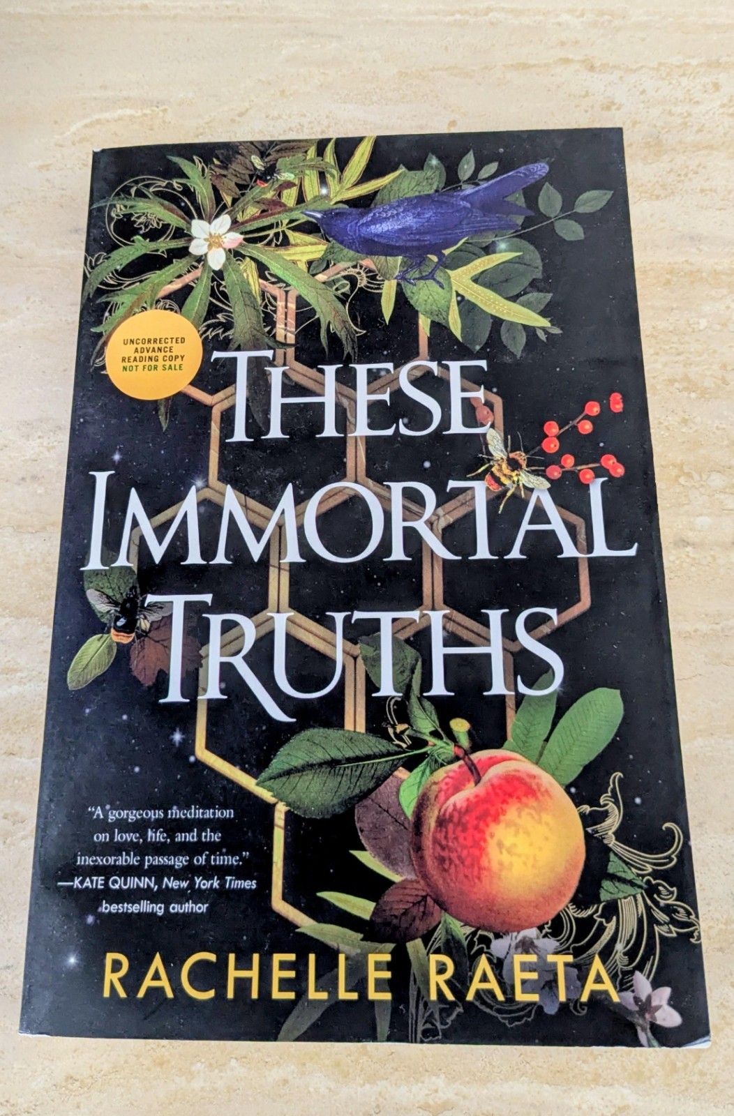These Immortal Truths By Rachelle Raeta ARC Advanced Reader Copy New Unread