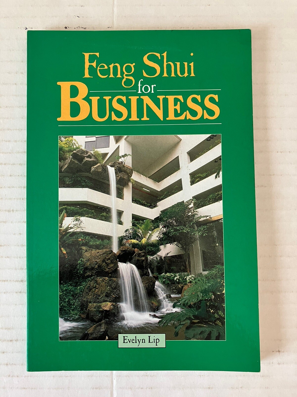 Feng Shui for Business by Evelyn Lip 1990 Illustrated Paperback