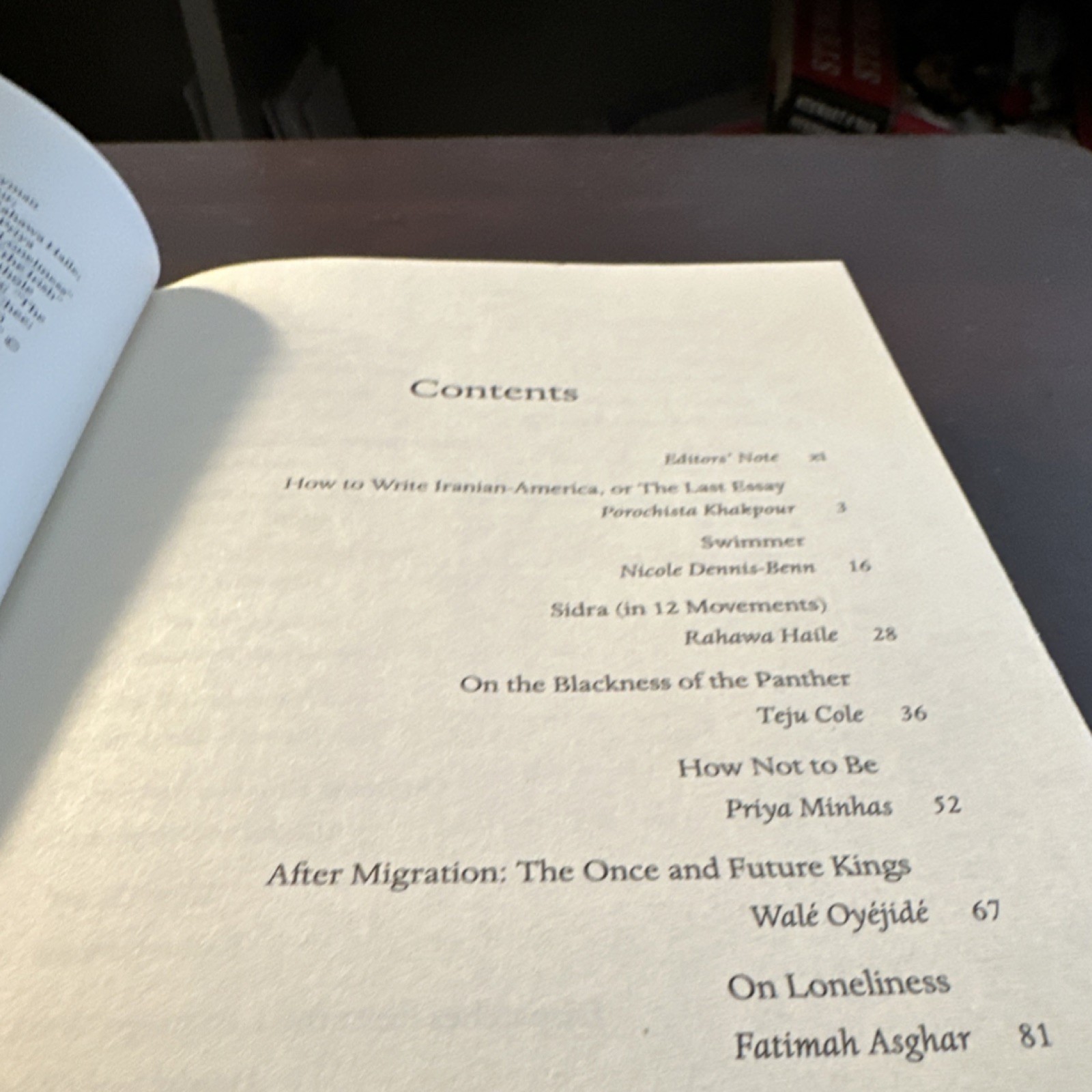 Little, Brown Good Immigrant 26 Writers Reflect America Hardcover 2019