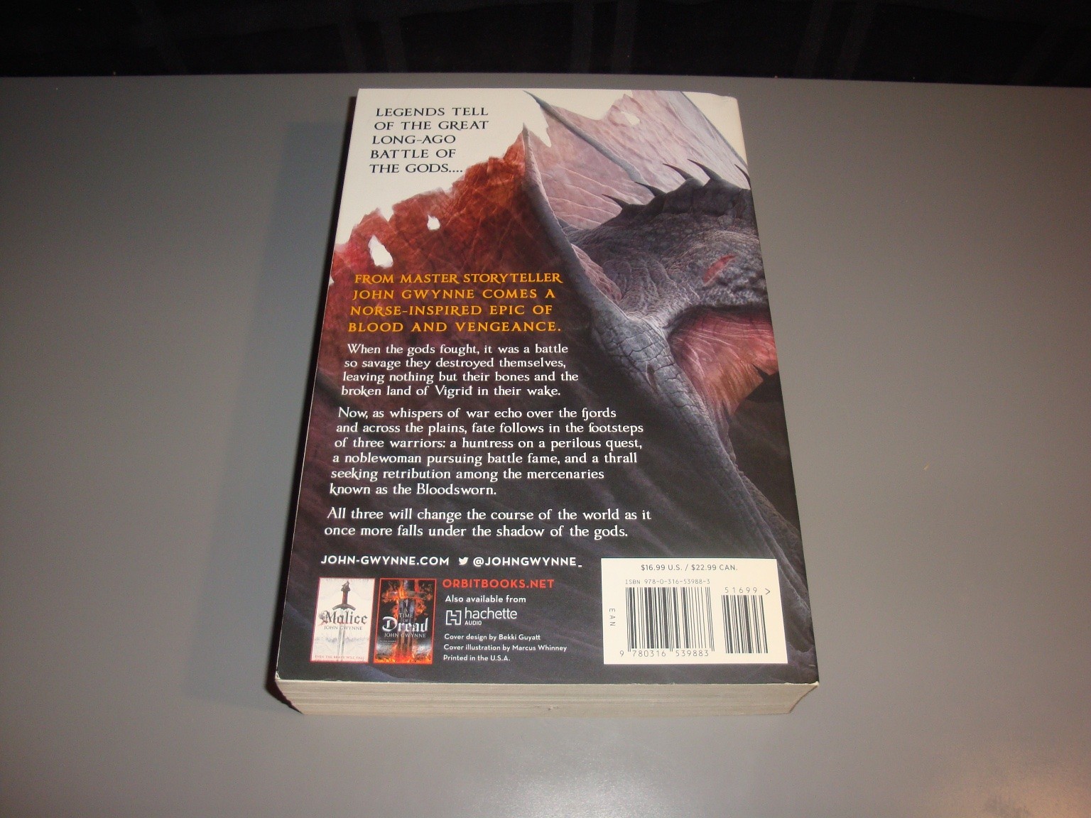 The Shadow of the Gods John Gwynne Bloodsworn 1st Edition Norse Epic Fantasy
