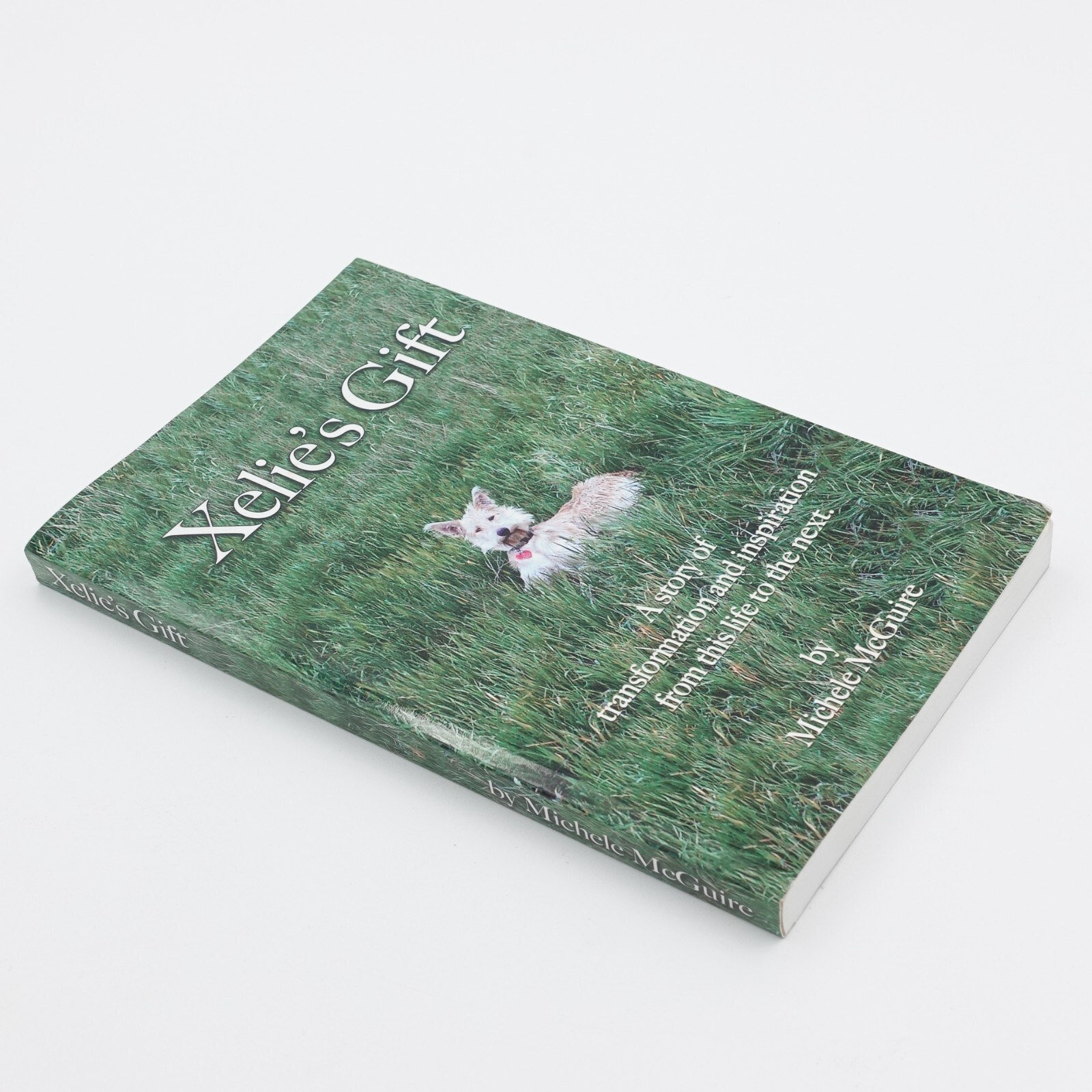 Xelie’s Gift by Michele McGuire (2014, Trade Paperback) GC 272 pages