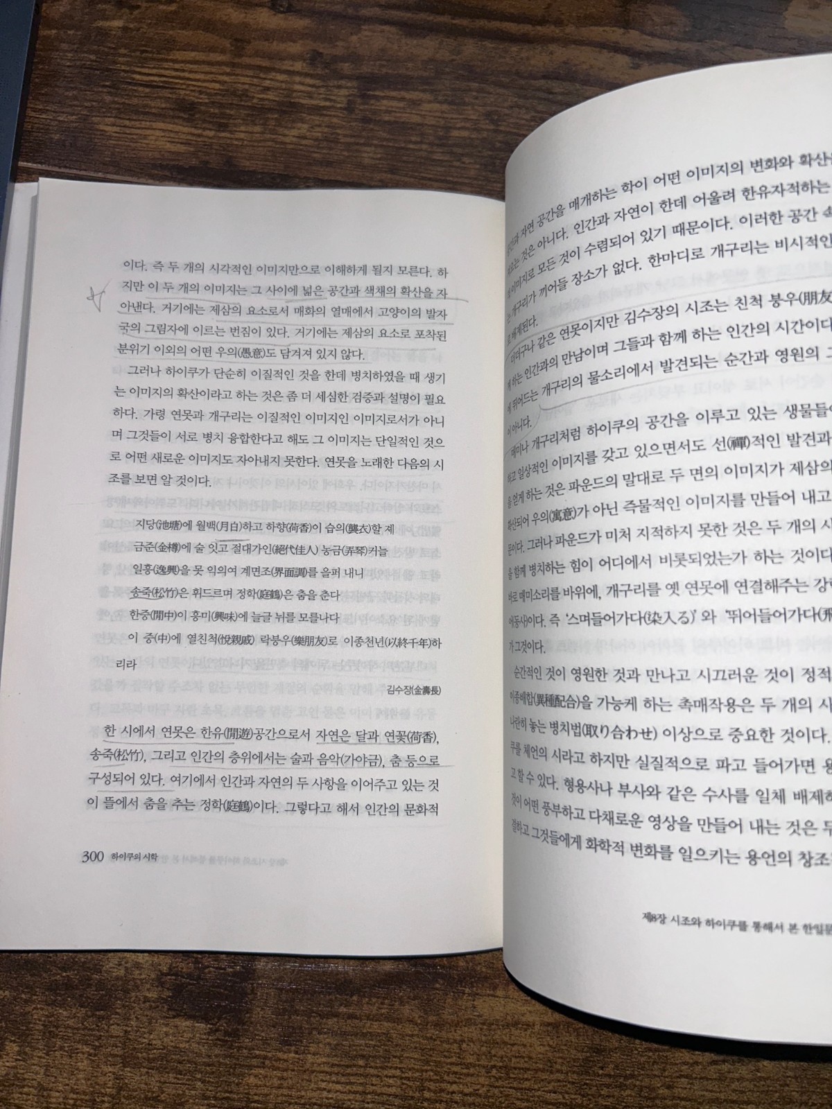 Lee O-young Haiku Poetics Korean Japanese Literature Award Winner Book