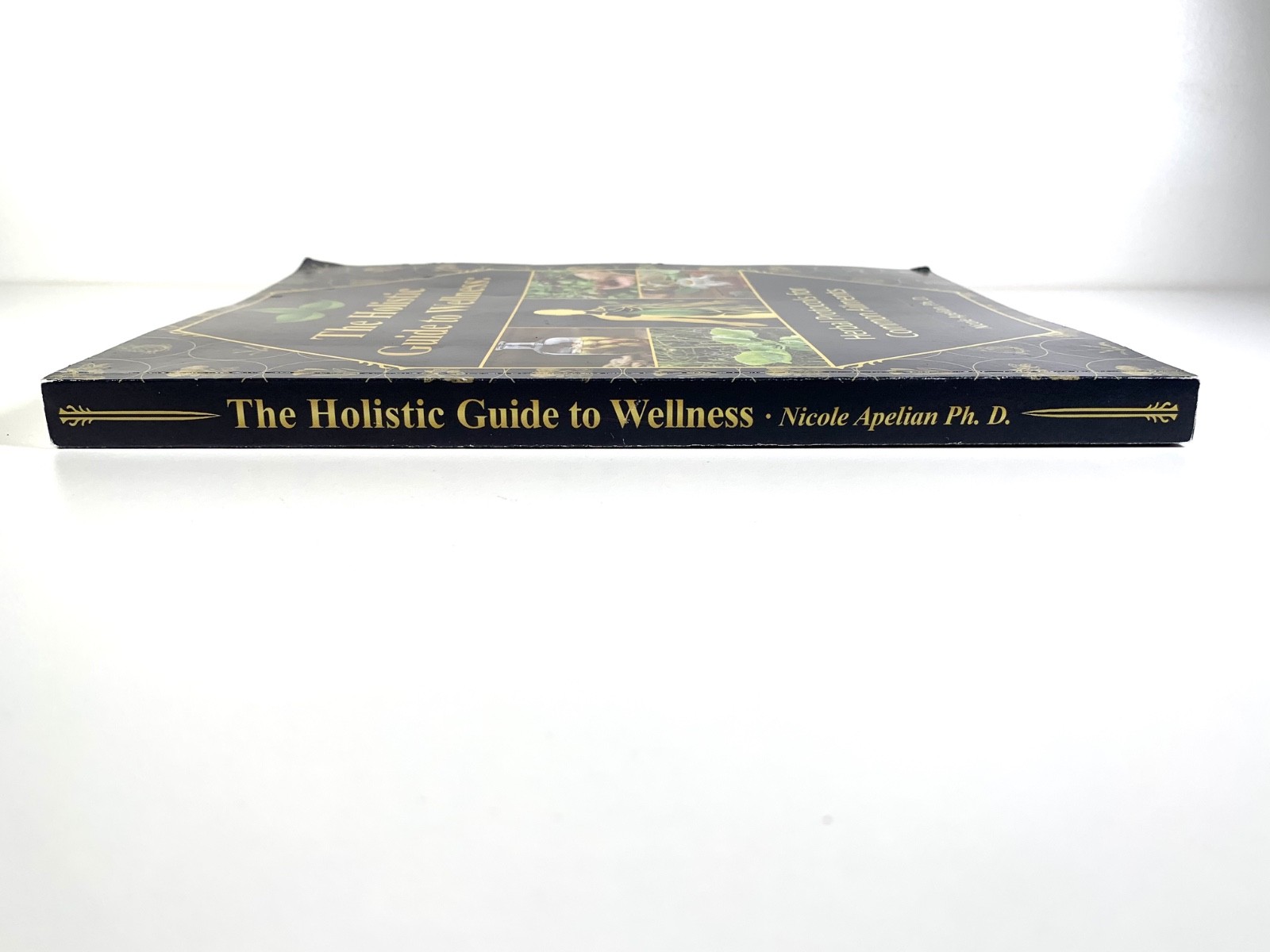 Holistic Guide to Wellness: Herbal Protocols for Common Ailments Nicole Apelian