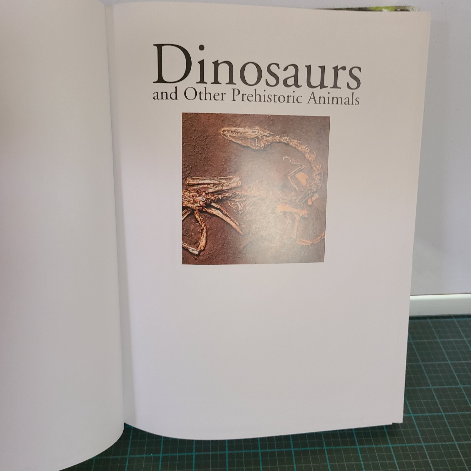 Dinosaurs & Other Prehistoric Animals Book 448 Pages Amber Books