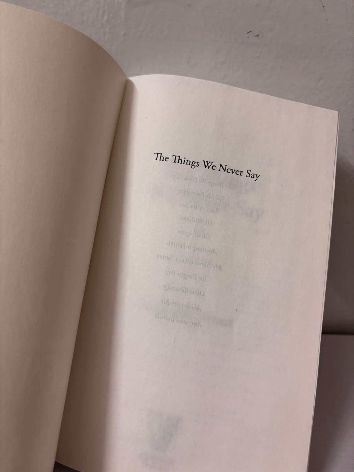 The Things We Never Say by Elizabeth Strout Paperback New Book usa stock