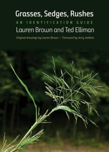 Grasses, Sedges, Rushes : An Identification Guide, Paperback by Brown, Lauren…