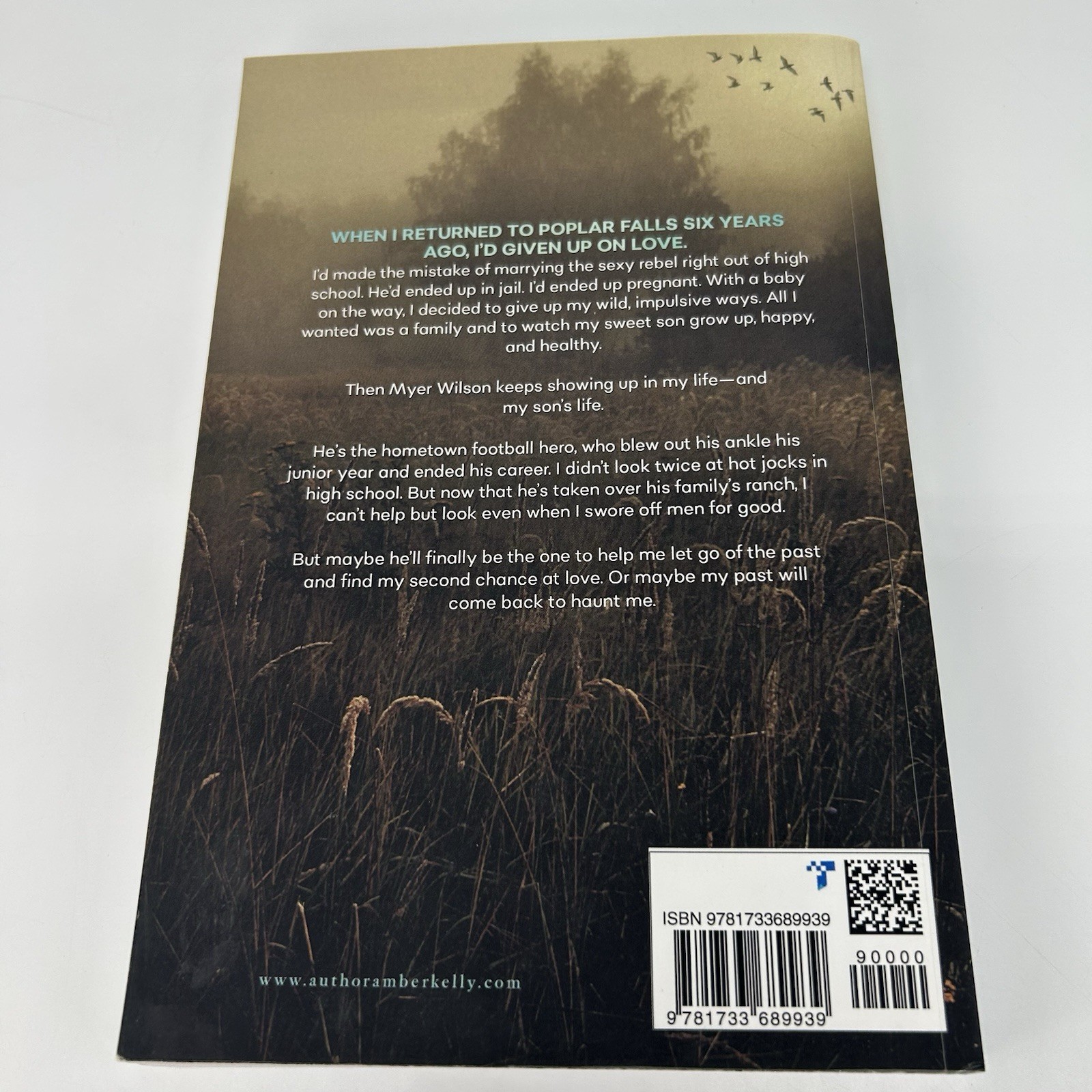 Amber Kelly Poplar Falls Series Complete Set (2019) Trade Paperback Lot of 7