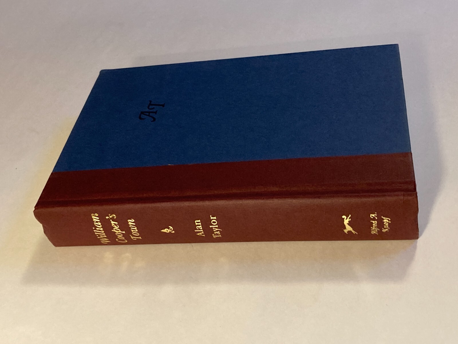 William Cooper’s Town by Taylor; 1st Edition Stated, 20+ Illustrations, VG / VG+