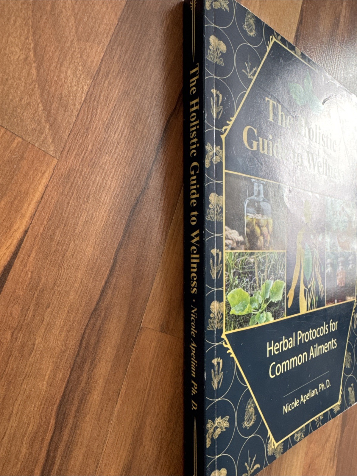Holistic Guide to Wellness: Herbal Protocols Common Ailments Nicole Apelian book