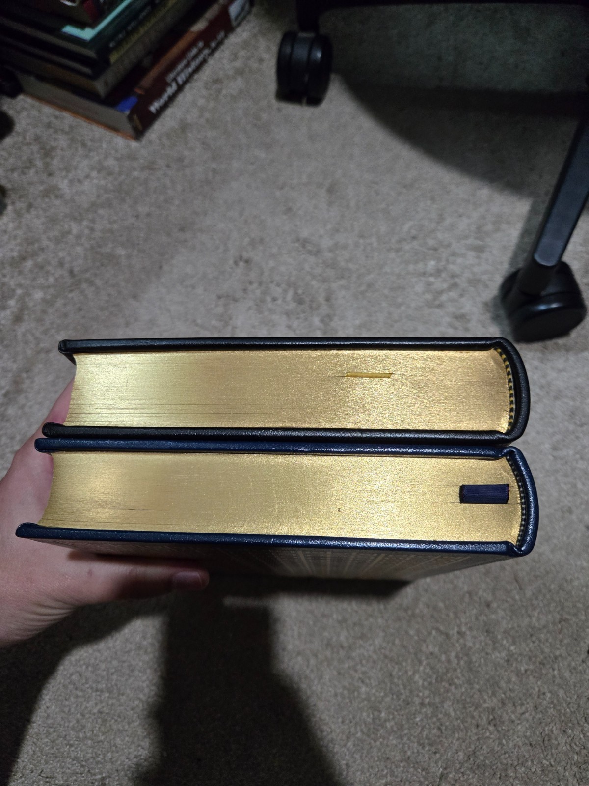 The Iliad and The Odyssey by Homer 1978-79 The Easton Press Leather Bound