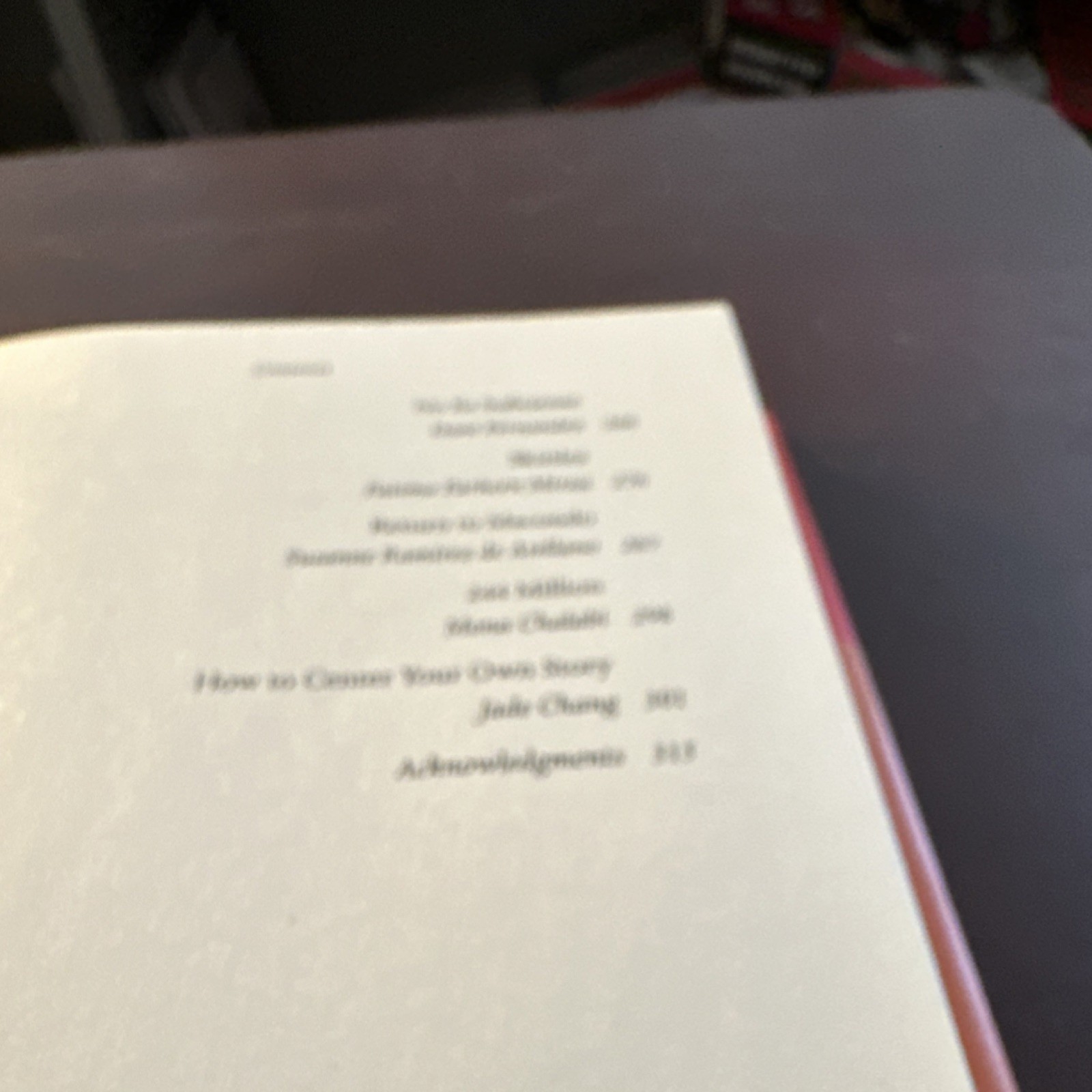 Little, Brown Good Immigrant 26 Writers Reflect America Hardcover 2019