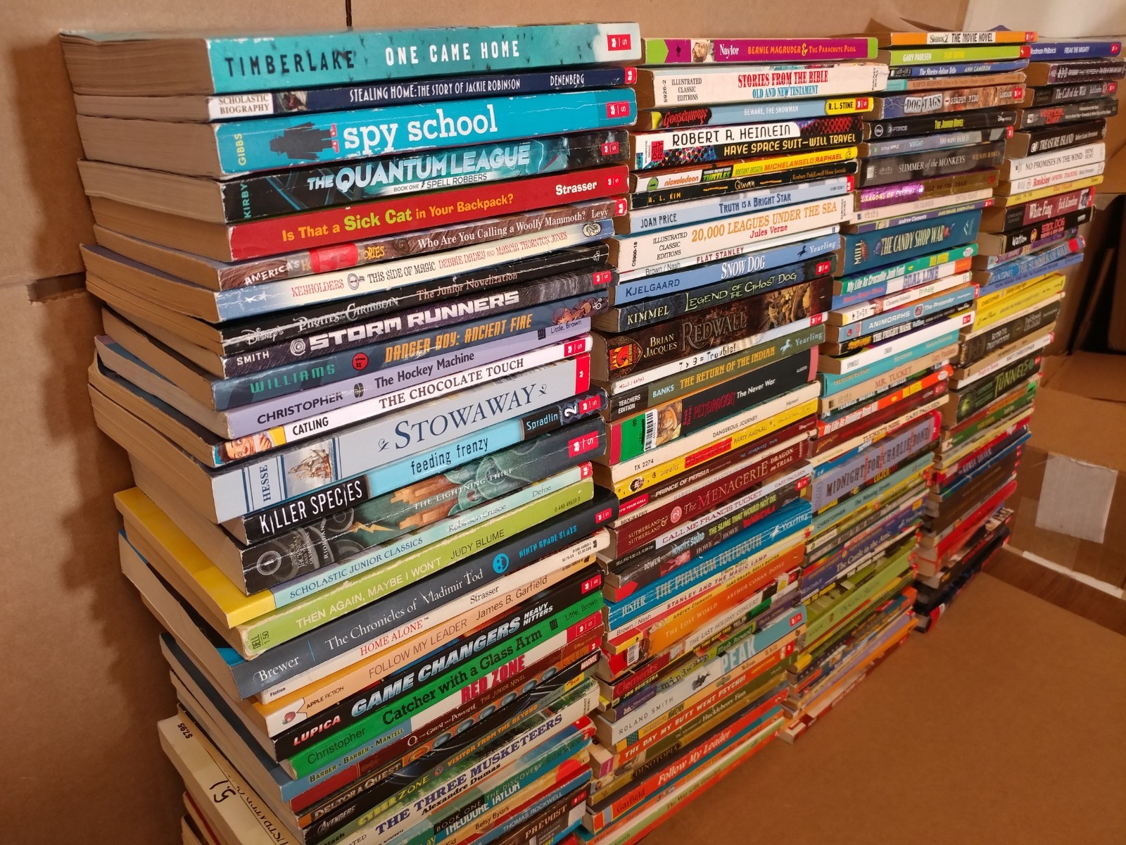 Lot of 20 Chapter Books for BOYS Youth Early Reader Young Adults Children RANDOM