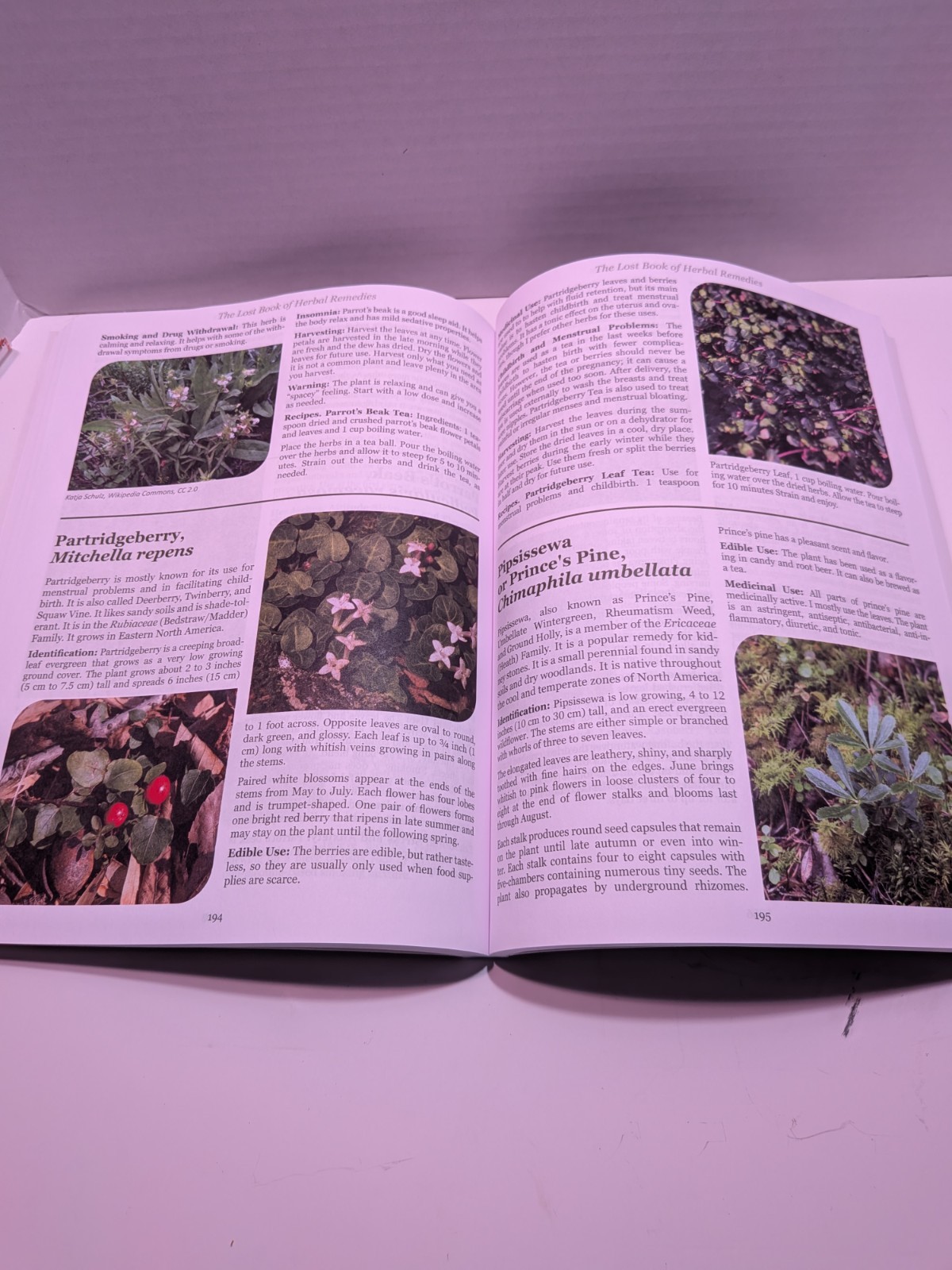 The Lost Book of Herbal Remedies by Dr. Nicole Apelian