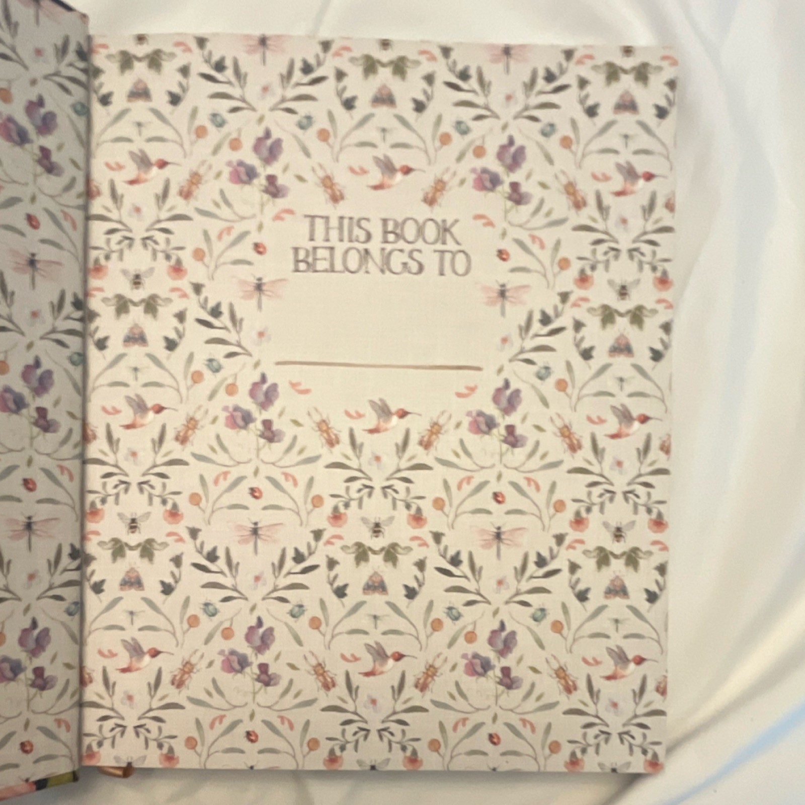 Beholding and Becoming Ruth Chou Simons Hardcover 2019 Religion Harvest House