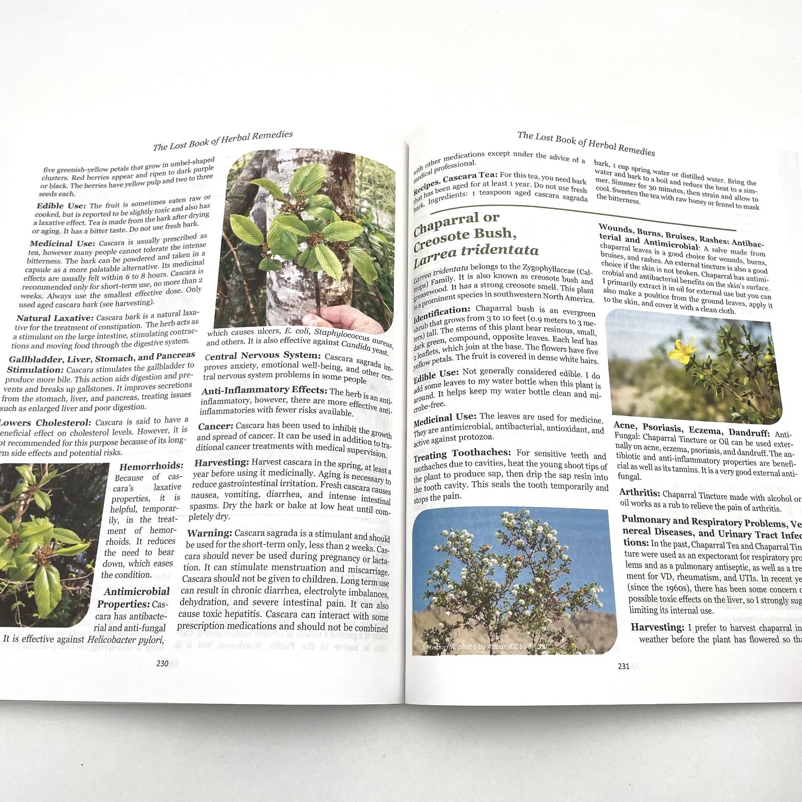 The Lost Book of Herbal Remedies Nicole Apelian, Ph.D and Claude Davis 2020 VG