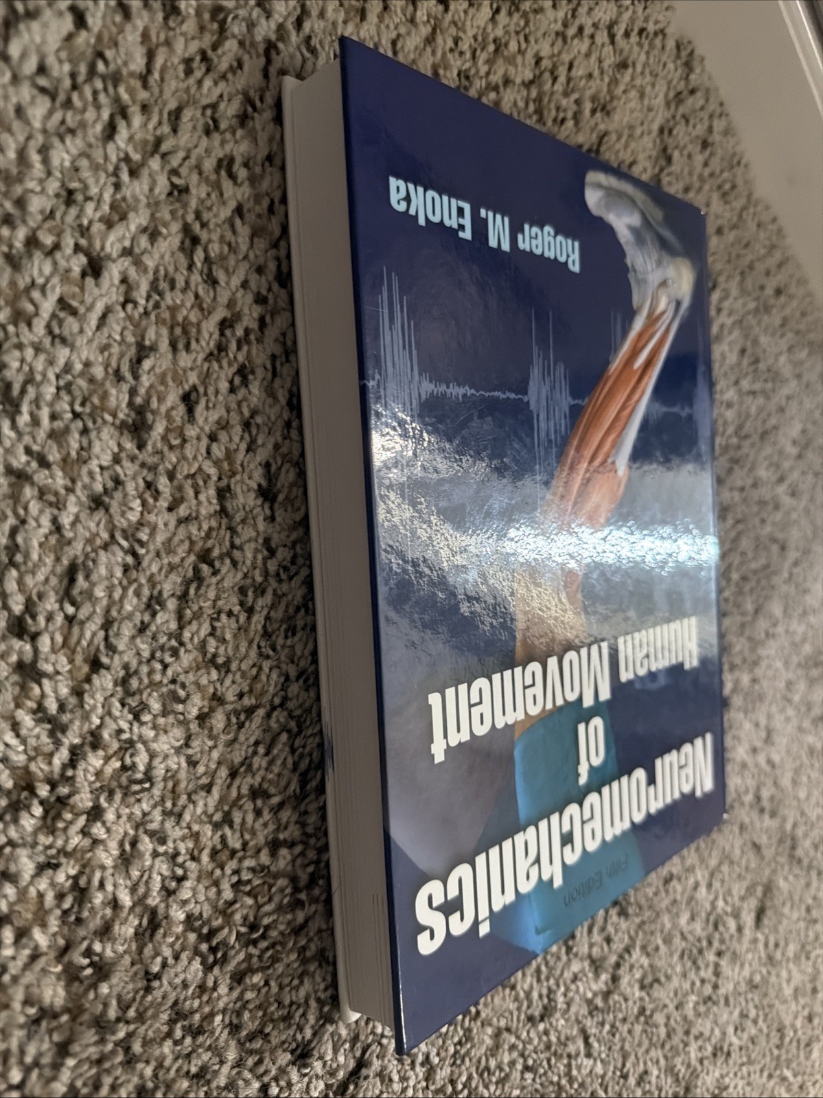Neuromechanics of Human Movement by Roger M. Enoka (2015, Hardcover)
