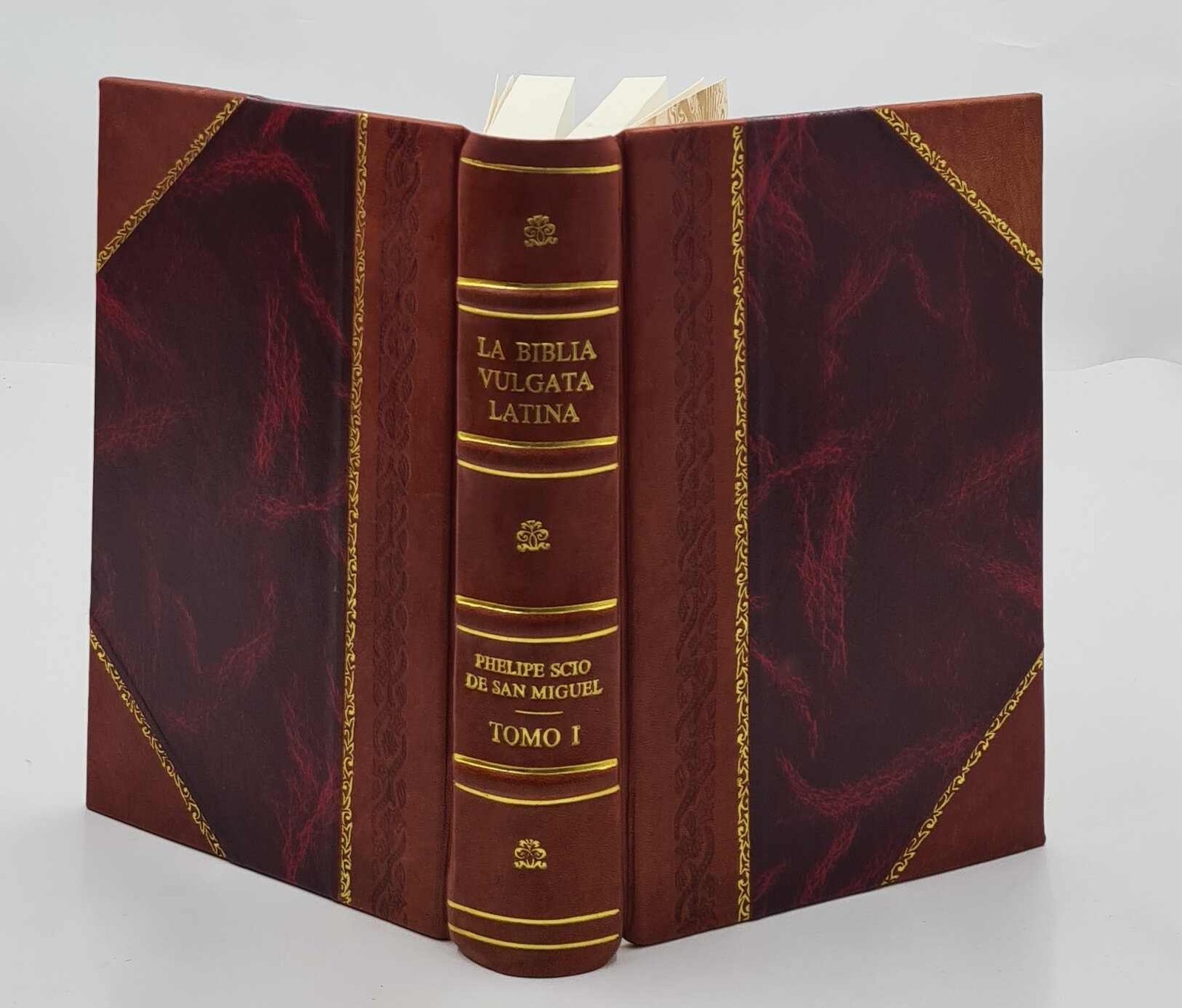 La Biblia Vulgata Latina Traducida en Espan?l, y anotada conform [Leather Bound]