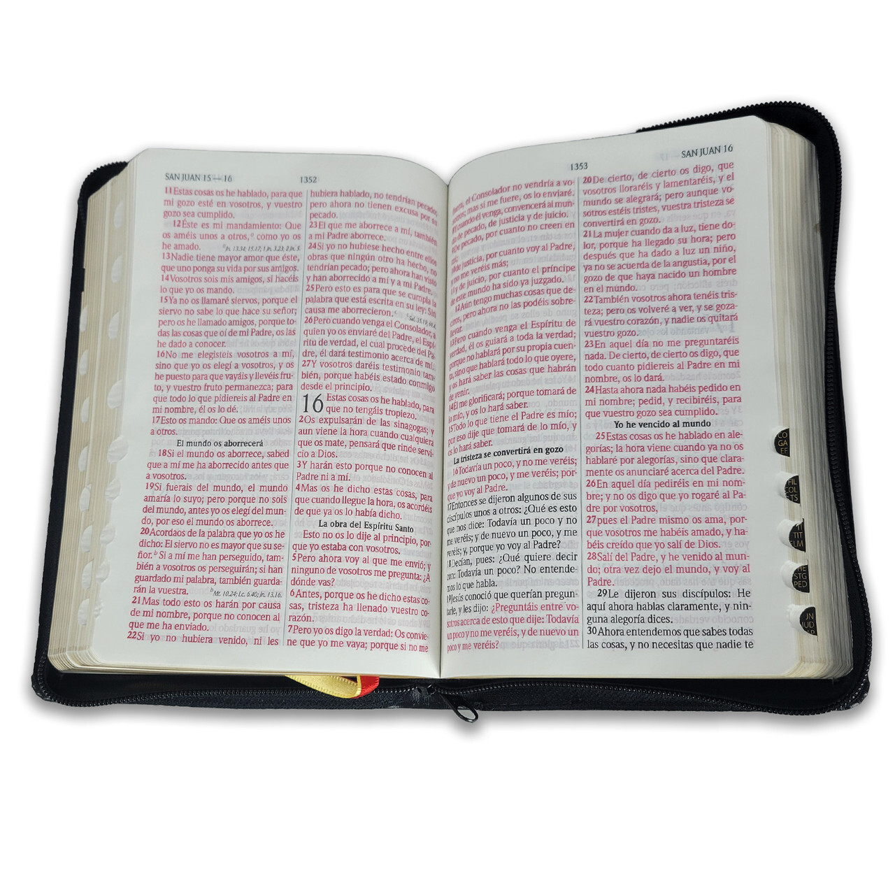 Biblia Letra Grande con Cierre y Concordancia Amplia RV1960 negro con indice