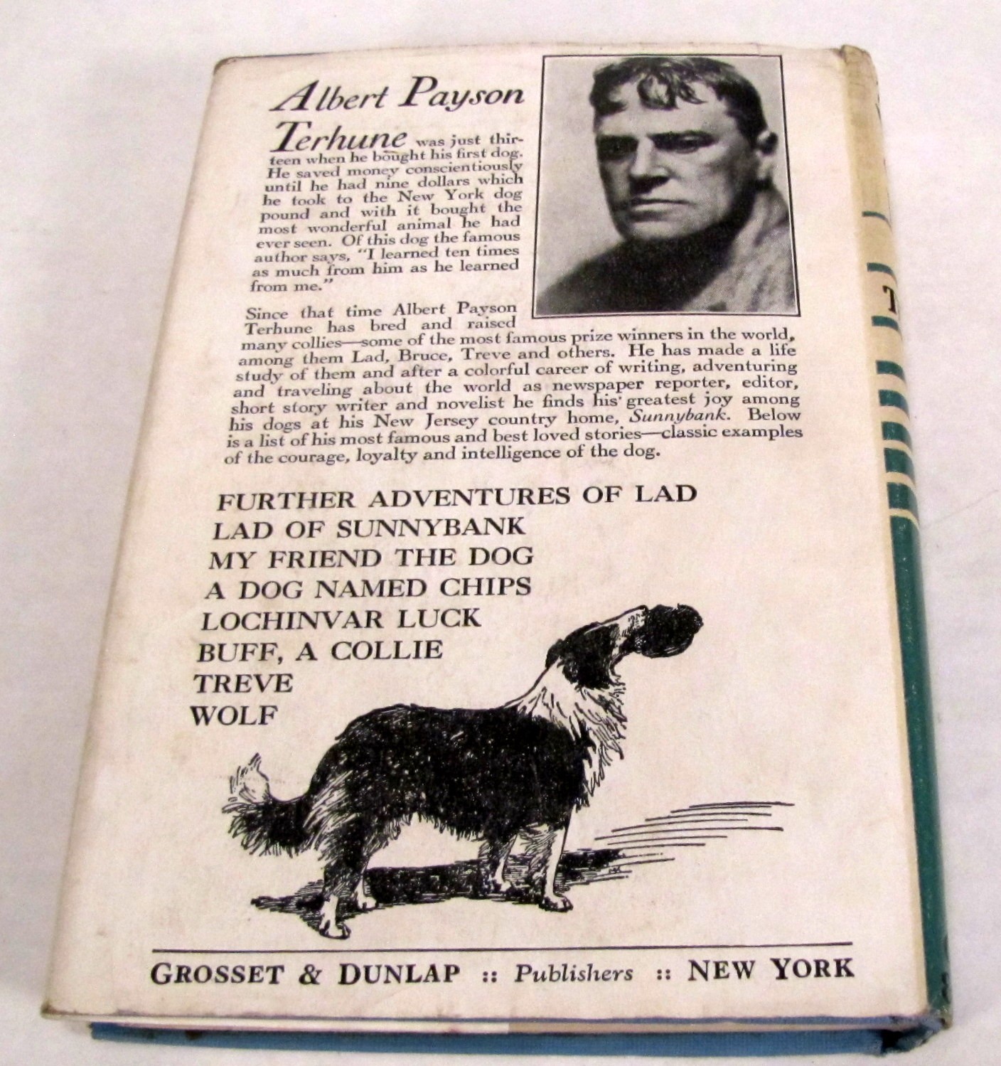 The Way of a Dog by Albert Terhune First Edition Hardback w/ Dust Jacket 1932
