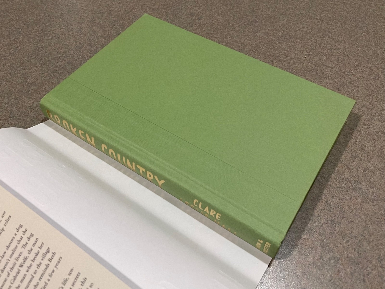 Broken Country by Clare Leslie Hall (2025, First Edition, 1st Printing Hardcover