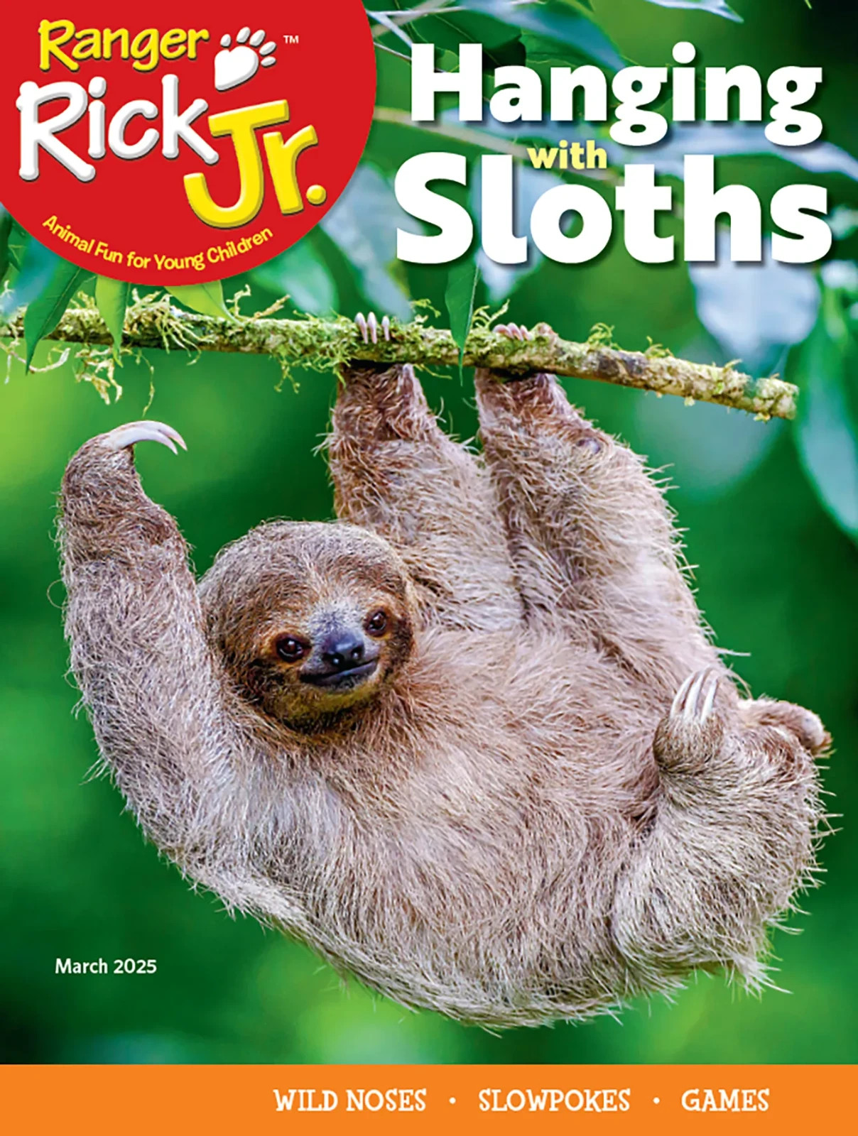 RANGER RICK MAGAZINE | MARCH 2025 | HANGING WITH SLOTHS