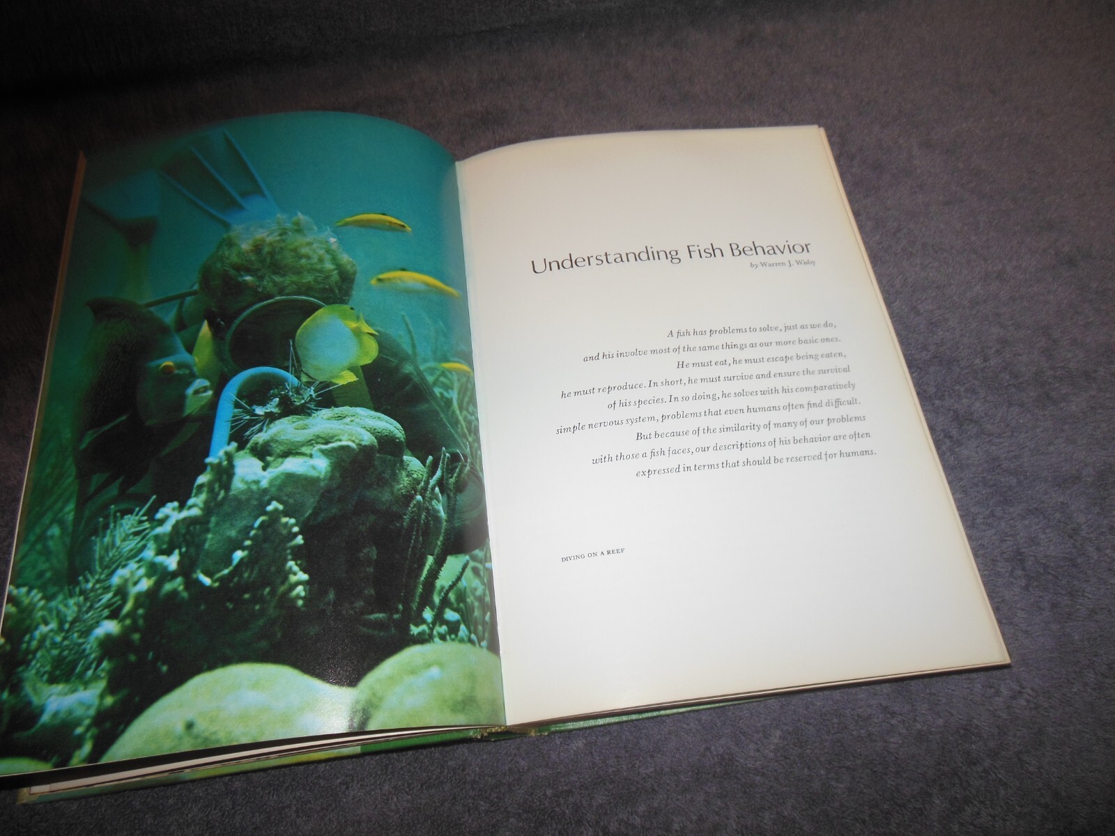 Sport Fishing USA Book US Department Of The Interior 1971 Hard Cover 464 Pages