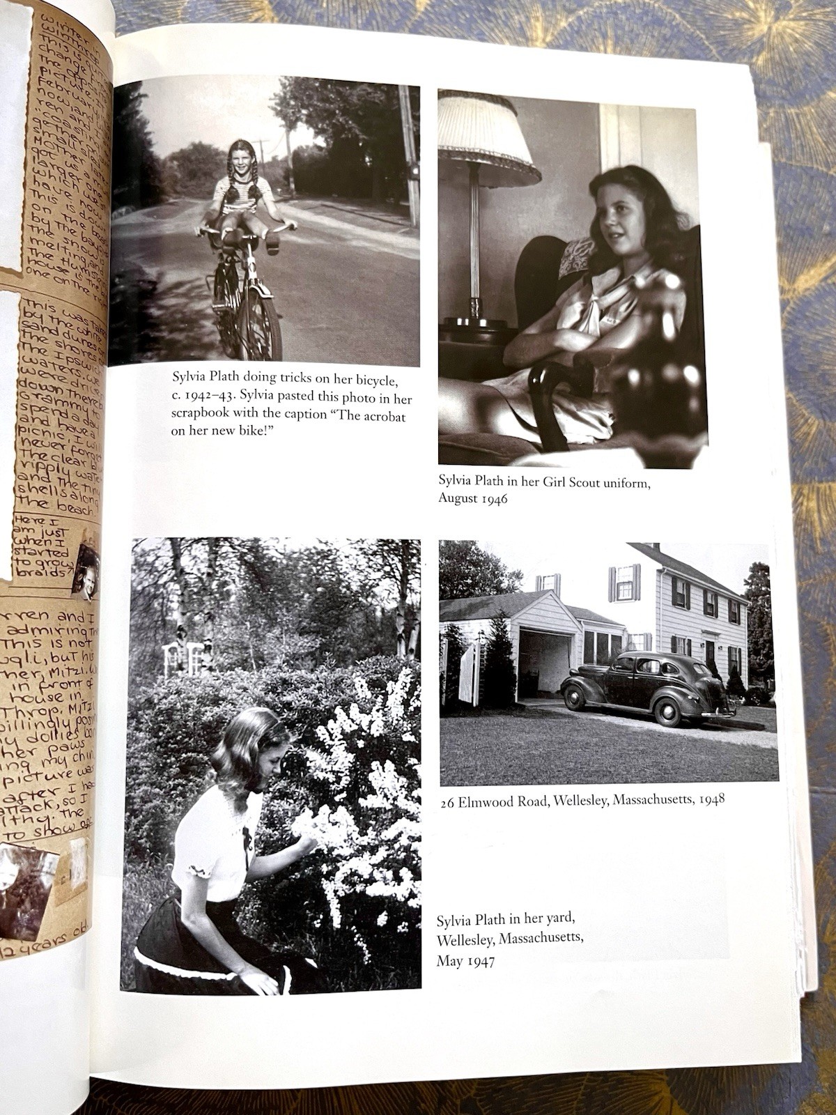 RED COMET: THE SHORT LIFE AND BLAZING ART of SYLVIA PLATH Heather Clark HC VG+