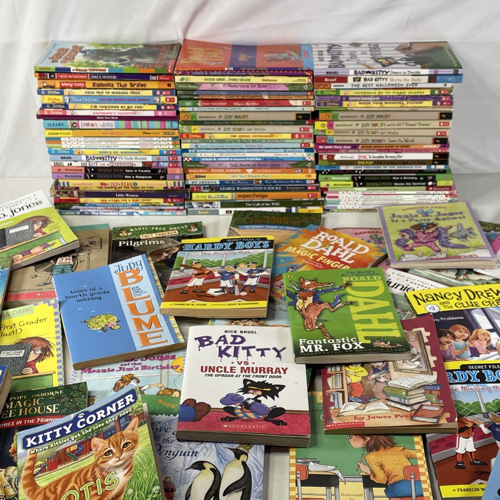 Bulk/Huge Lot of 25 Children’s Kids Chapter Books – Random – Free Shipping!