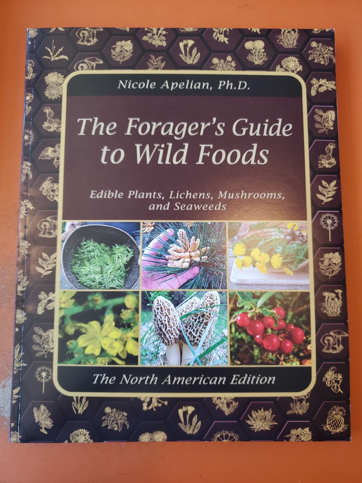 The Forager’s Guide to Wild Foods (paperback with color pictures)