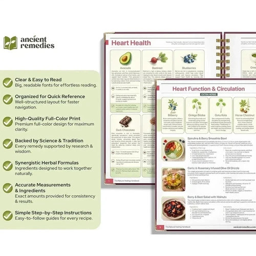 The Natural Healing Handbook Spiral Bound Guide For Herbal Remedies And Natural.
