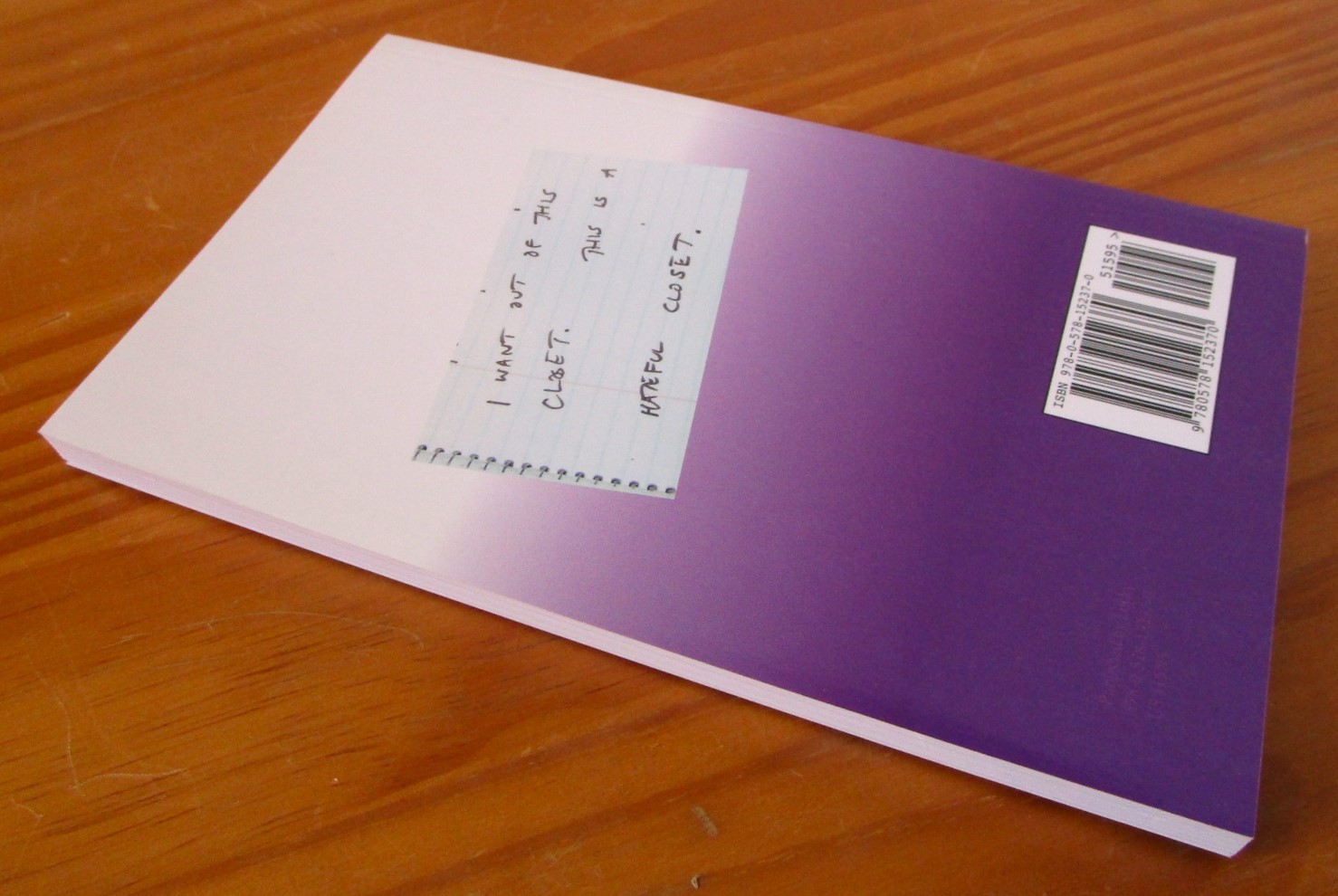 How To Not Write by Lisa Carver Signed & Numbered